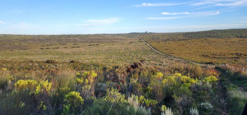 2 Bedroom Property for Sale in Stilbaai Rural Western Cape